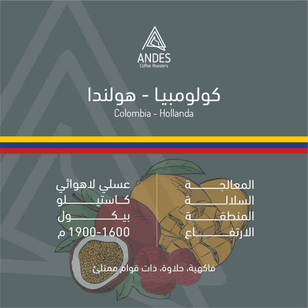 Coffee Beans ANDES Colombia Hollanda 250g