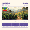 Coffee Beans NAHJ Hambela Ethiopia 250g