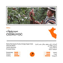 Coffee Beans 48 EAST Cerdruyoc | Peru 250g
