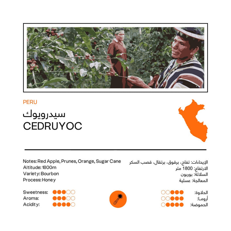 Coffee Beans 48 EAST Cerdruyoc | Peru 250g