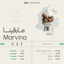 Coffee Beans SOIL مارفينا Marvina Colombia 250g