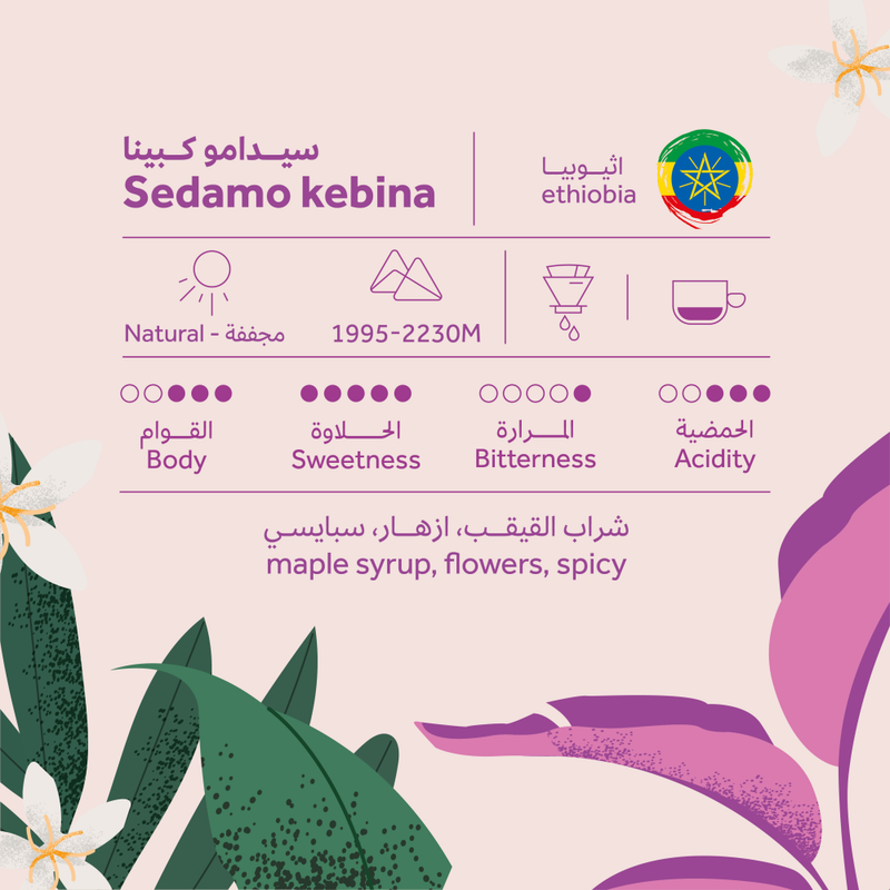 Coffee Bean Breehant Sidamo - Kabina 250g