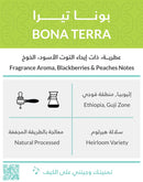 Coffee Beans KIFFA Ethiopia Bona Tera 250g