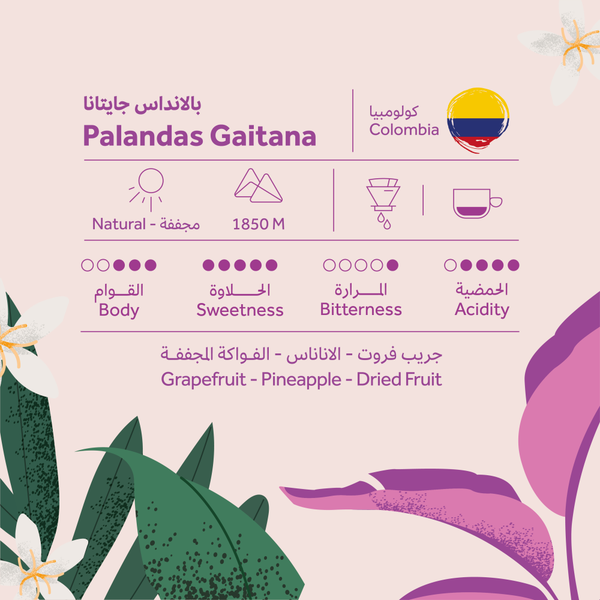 Coffee Bean Breehant Colombia Palandas Gaitana 250g