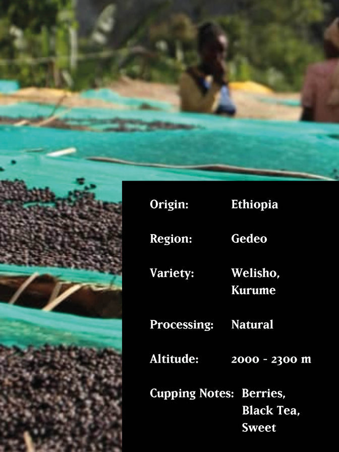 COFFEE BEANS MvsM Burtukana Natural Organic Ethiopia 250g