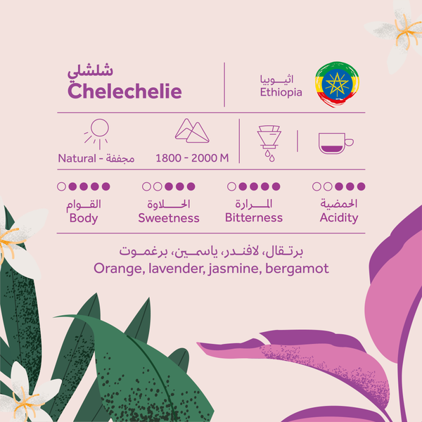 Coffee Bean Breehant Ethiopia - Chelechelie  250g