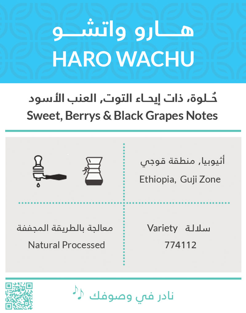 Coffee Beans KIFFA Haro Wachu Ethiopia 250g