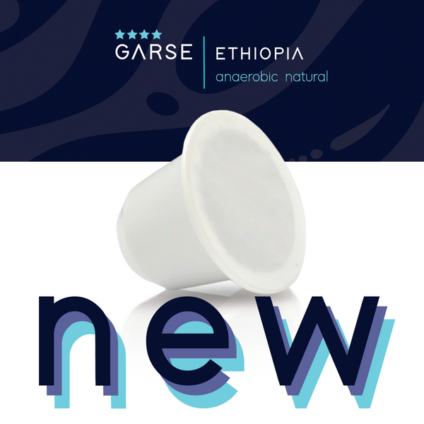 Coffee Espresso Capsules MABO Garse, Ethiopia [Anaerobic Natural]