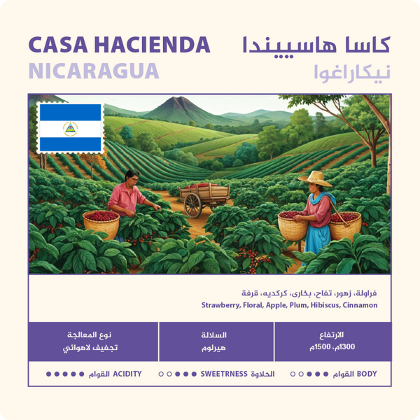 Coffee Beans NAHJ Casa Hacienda Nicaragua filter 250g