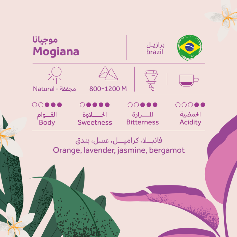 Coffee Bean Breehant Brazilian - Mogiana  250g